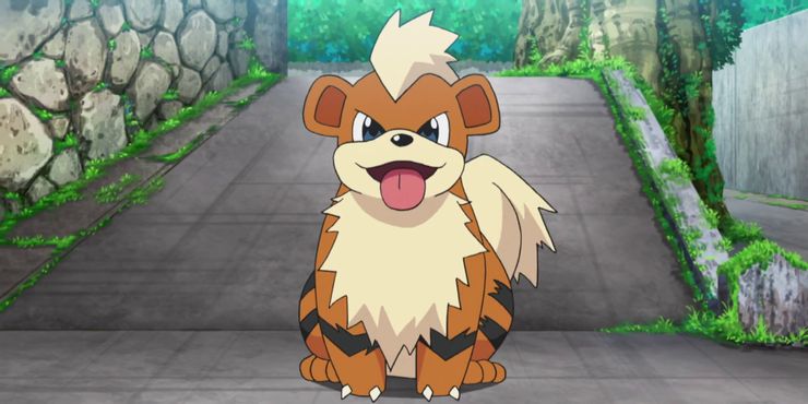 Pokemon-Growlithe-Obedient