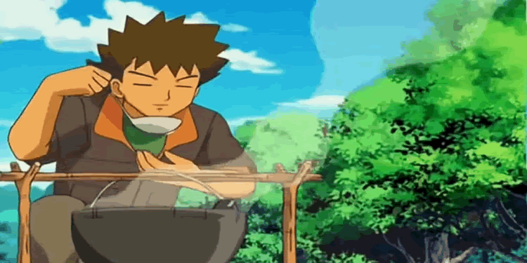 pokemon-brock-cooking